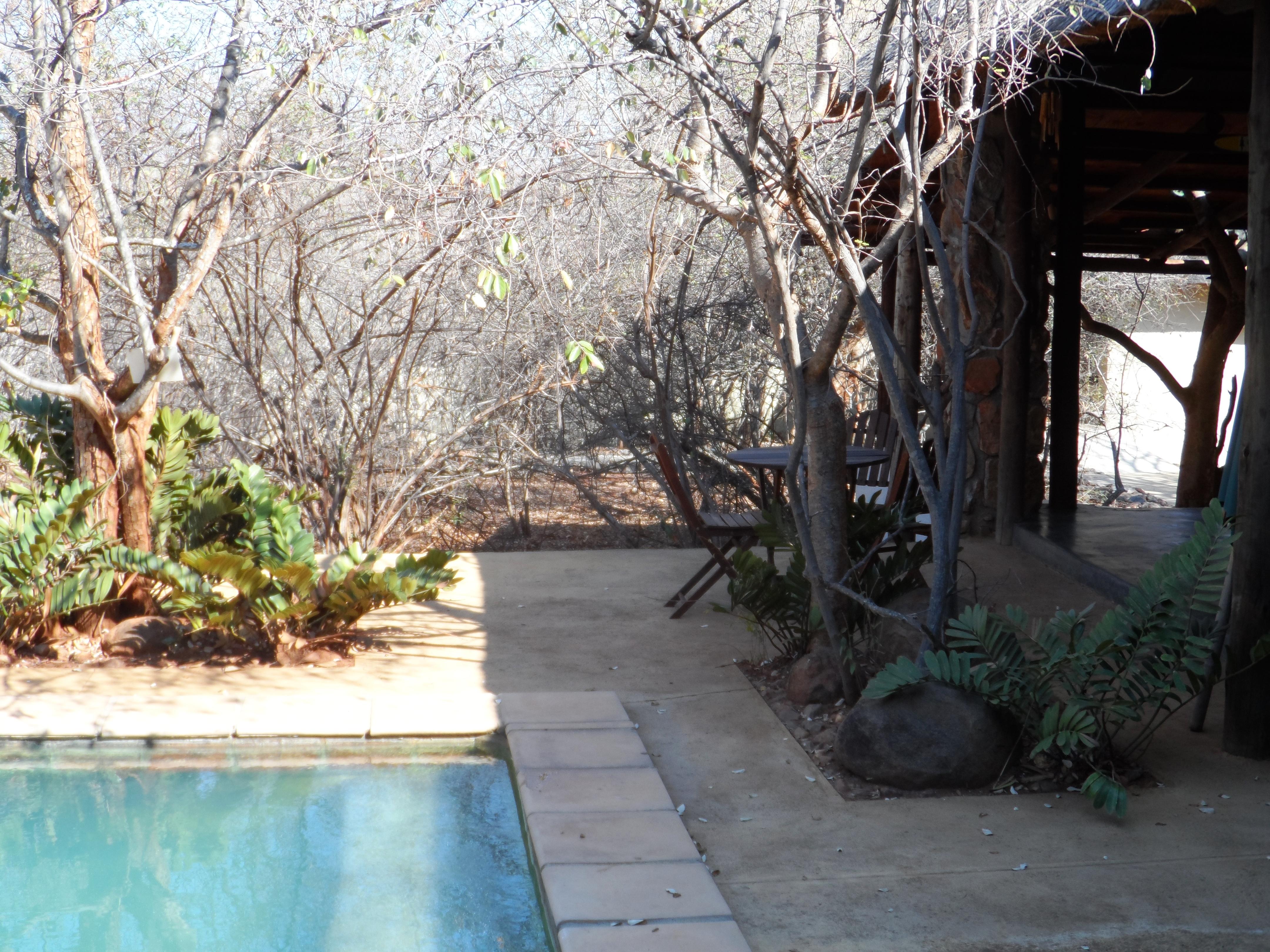 Shikwari Nature Reserve Hoedspruit Dış mekan fotoğraf
