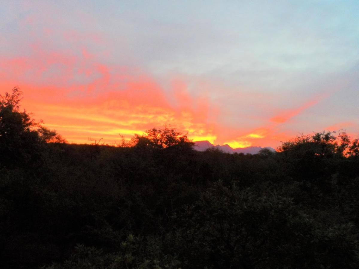 Shikwari Nature Reserve Hoedspruit Dış mekan fotoğraf