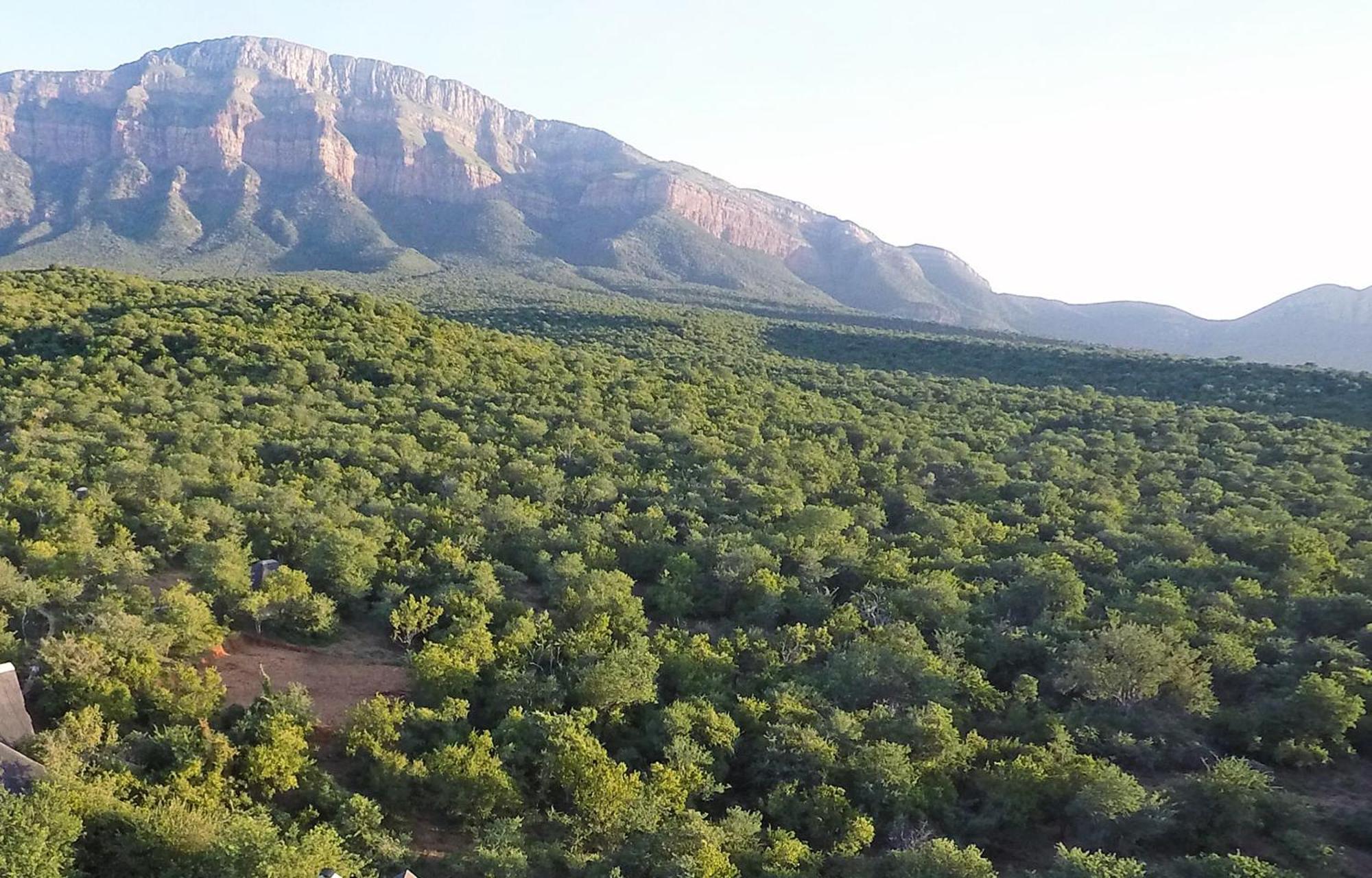 Shikwari Nature Reserve Hoedspruit Dış mekan fotoğraf